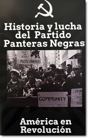 Historia y lucha del Partido Panteras Negras