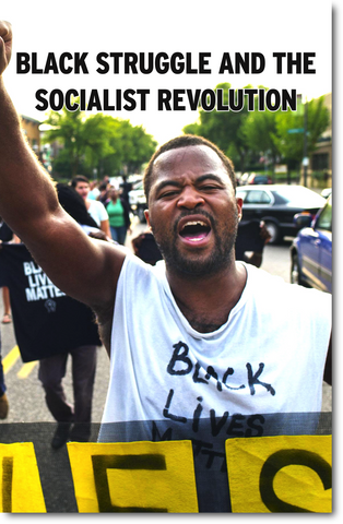 Black Struggle and the Socialist Revolution