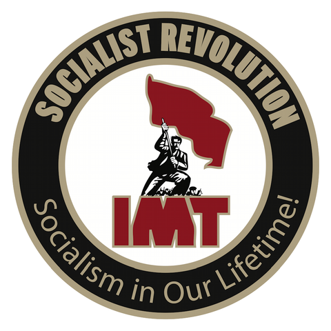 Socialist Revolution / IMT Logo Pins (2 designs)